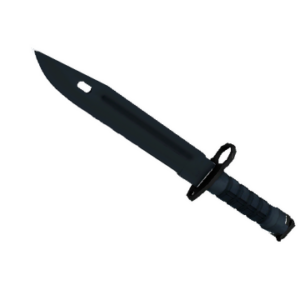 ★ Bayonet | Night (Minimal Wear)