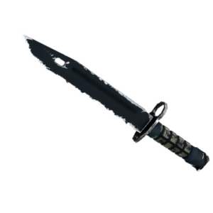 ★ Bayonet | Night (Well-Worn)