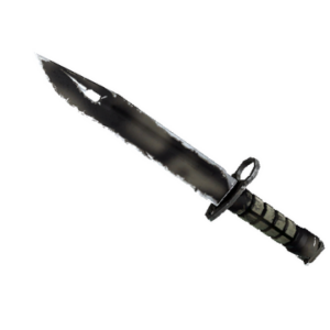 ★ Bayonet | Scorched (Well-Worn)