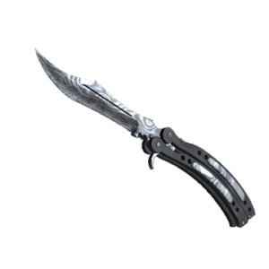 ★ Butterfly Knife | Damascus Steel (Well-Worn)