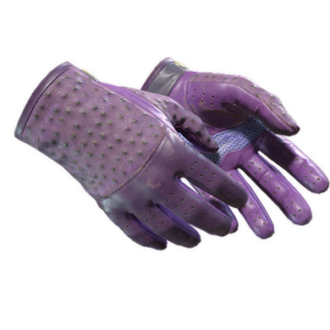 ★ Driver Gloves | Plum Quill (Well-Worn)