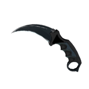 ★ Karambit | Night (Well-Worn)