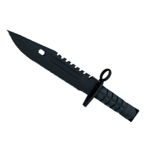 ★ M9 Bayonet | Night (Minimal Wear)