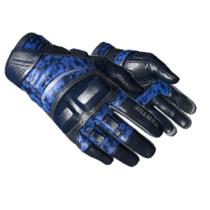 ★ Moto Gloves | Polygon