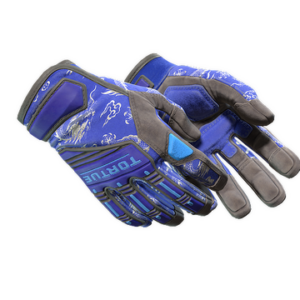 ★ Specialist Gloves | Cloud Chaser (Well-Worn)