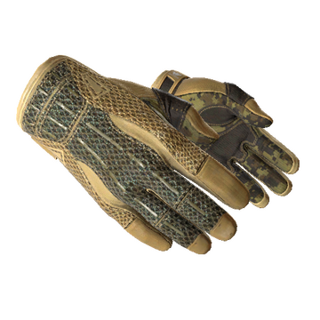 ★ Sport Gloves | Arid