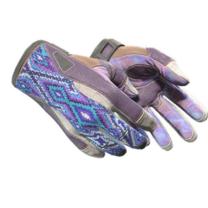 ★ Sport Gloves | Violet Beadwork (Well-Worn)
