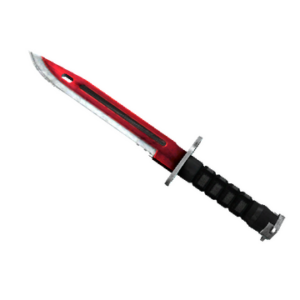 ★ StatTrak™ Bayonet | Autotronic (Field-Tested)