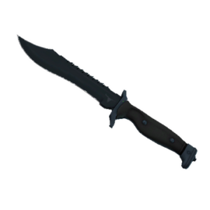 ★ StatTrak™ Bowie Knife | Night (Factory New)