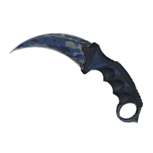 ★ StatTrak™ Karambit | Bright Water