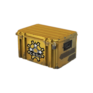 Revolver Case