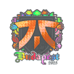 Sticker | fnatic (Holo) | Budapest 2025
