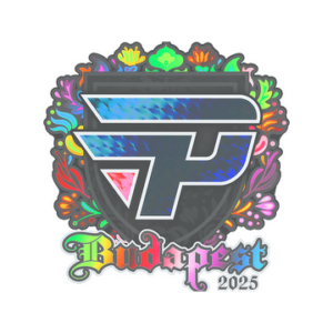 Sticker | paiN Gaming (Holo) | Budapest 2025