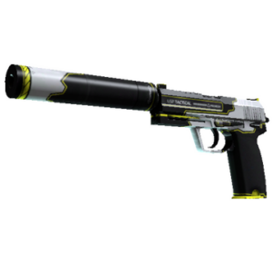 USP-S | Torque (Factory New)